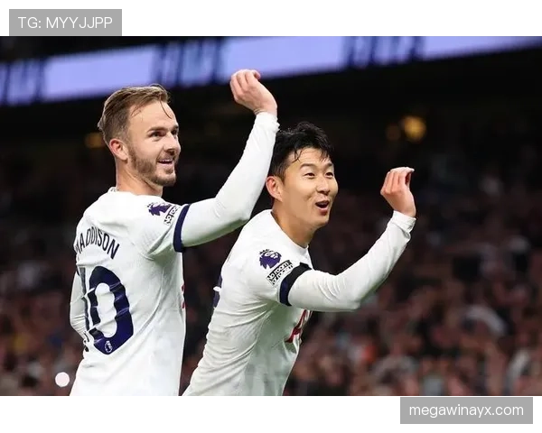 富勒姆主帅战术革新引领球队逆袭英超争四行列