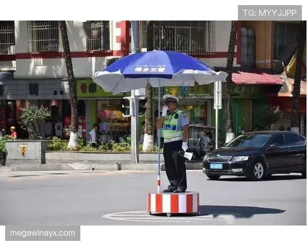 梅赫伦中路渗透式交通改造显成效，安全新举措引关注