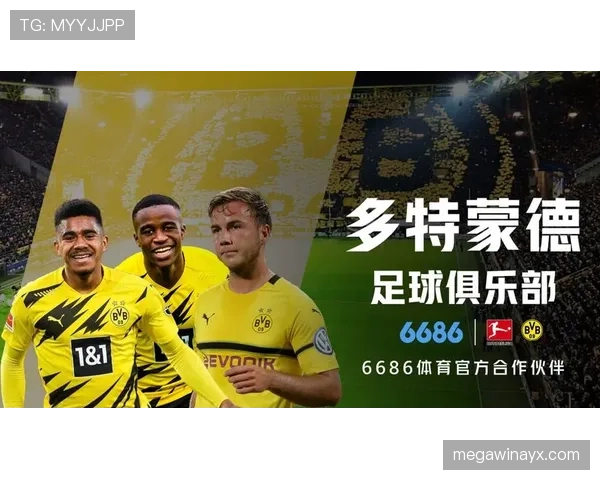 多特蒙德签下新星，剑指德甲冠军提升争冠实力