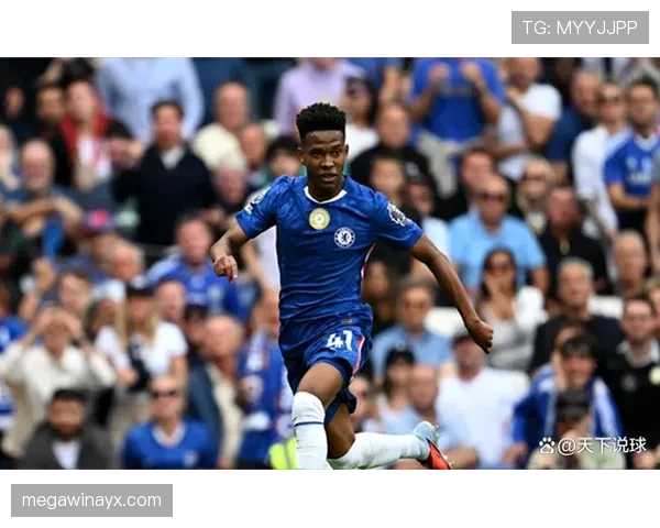 布莱顿休赛期备战英超新赛季状态回暖